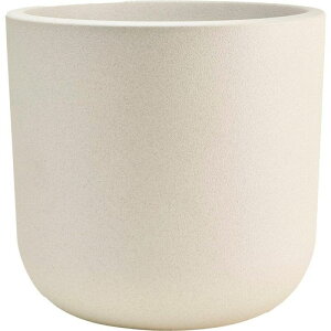 Aؔ  zCG/FRA[|bgItzCgS 29D5xH28/3A00145WHy07z K[fjOE|pi t[|bg 