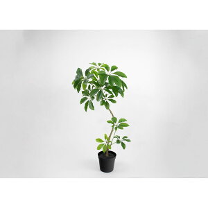 �y�l�H�ϗt�A���z�r�_���R��/Planeco �V�F�t�����|�b�g(S) �O���[��/VR26004-024G�y01�z ���� �t�� �t�F�C�N�O���[�� �l�H�ϗt�A�� �l�H���� ������� �C���e���A �X�� �I�t�B�X ���� �f�B�X�v���C