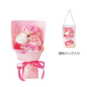 �y�\�[�v�t�����[�zGREENHOUSE/�X�^���_�[�h�\�[�v�t�����[�u�[�P ���C�g�s���N/5577-LP�y01�z �\�[�v�t�����[�����i �A�����W�����g �u�[�P �ԑ� �{�b�N�X �o�� ���[�Y ���C���{�[���[�Y ���� 