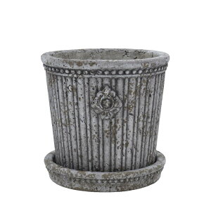 CARNAC/�u���J���g�r�X�N�x�[�V�b�N5-GY �O���[/BQ2603GY�y01�z �K�[�f�j���O�E���|�p�i �A�ؔ��E�t�����[�|�b�g �Z�����g�� �� �O�b�Y ���� �ƒ�؉� �ϗt�A�� ������� ���킢�� �� ���ǂ��̓� 