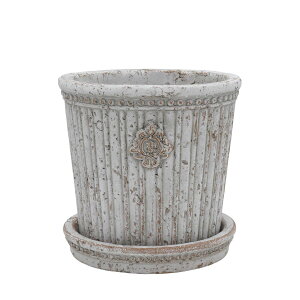 CARNAC/�u���J���g�r�X�N�x�[�V�b�N5-WH �z���C�g/BQ2603WH�y01�z �K�[�f�j���O�E���|�p�i �A�ؔ��E�t�����[�|�b�g �Z�����g�� �� �O�b�Y ���� �ƒ�؉� �ϗt�A�� ������� ���킢�� �� ���ǂ���