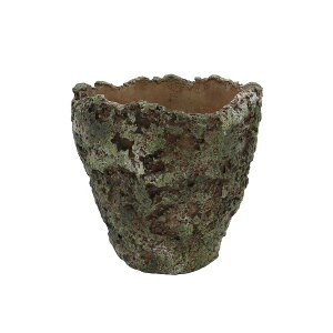 CARNAC/�V�����^�����b�NL/LC074�y01�z �K�[�f�j���O�E���|�p�i �A�ؔ��E�t�����[�|�b�g �Z�����g�� �� �O�b�Y ���� �ƒ�؉� �ϗt�A�� ������� ���킢�� �� ���ǂ��̓� ������ ������ �C�[�X�^