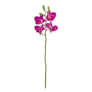 �y���ԁzMAGIQ������/�v���C�}���f���t�@�� #12 ORCHID �I�[�L�b�h/FM007427-012�y01�z ���� �A�[�e�B�t�B�V�����t�����[ �����i���j�E�I�[�L�b�h�t�F�C�N�t�����[ �t�����[�A�����W�ԍ� ������� 
