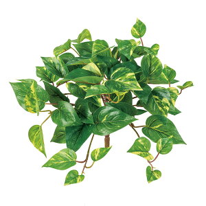 �y���ԁzMAGIQ������/�G�N�X�e���A�|�g�X�u�b�V�� GREEN �O���[��/FG312604�y01�z ���� �A�[�e�B�t�B�V�����t�����[ �t���A�t�F�C�N�O���[�� �|�g�X�l�H �t�����[�A�����W�ԍ� ������� �n���h��