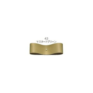 �������{��/�T�e���v���~�G 9×50 #043�}�X�^�[�h�O���[��/36-50030-43�y01�z ���{�� �T�e�����{�� �v���[���T�e�����{���M�t�g���b�s���O �v�`�M�t�g �v���[���g ��p�i ������� ���킢�� �N
