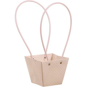 SG Wonder zone/�y�[�p�[�o�b�O ��t�A�����W �s���N/381-049P�y07�z[10��] �Ԋ�A���[�X �Ԋ�E�ԕr �����Ԋ�