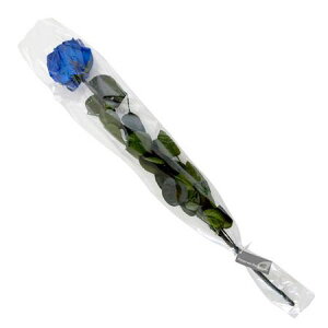 �y�v���U�[�u�h�z�t���[���G�o�[/�O���[�X���[�Y �X�e���t Grand Blue/FL0921-12�y07�z �v���U�[�u�h�t�����[ �v���U�[�u�h�t�����[�ԍ� �͍s �o���i���[�Y�j�K�N �ԍ� �n���h���C�h�ޗ� �N���t