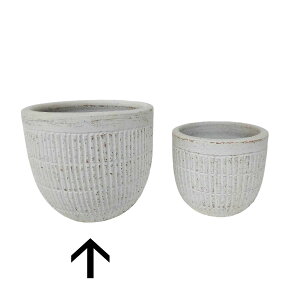 ��LINKS/�I���W�i���J���[�e���R�b�^�|�b�g/UE04111AW-SS�y07�z[4��] �K�[�f�j���O�E���|�p�i �A�ؔ��E�t�����[�|�b�g �e���R�b�^(�f�Ă�) �� �O�b�Y ���� �ƒ�؉� �ϗt�A�� ������� ���킢�� �n