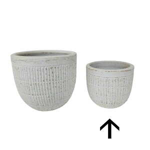 ��LINKS/�I���W�i���J���[�e���R�b�^�|�b�g/UE04111AW-SSS�y07�z[6��] �K�[�f�j���O�E���|�p�i �A�ؔ��E�t�����[�|�b�g �e���R�b�^(�f�Ă�) �� �O�b�Y ���� �ƒ�؉� �ϗt�A�� ������� ���킢�� 