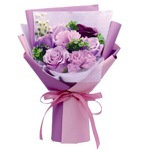�y�\�[�v�t�����[�z�A���[���E�f�E�t���[��/�p���t�F�u�[�P ���x���_�[/AM26PRL�y07�z �v���U�[�u�h�t�����[ �t���O�����X�\�[�v�t�����[ �\�[�v�t�����[�����i�M�t�g �v���[���g �t �� ����