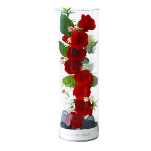 �y�\�[�v�t�����[�z�A���[���E�f�E�t���[��/�t���[���E�A���E�{�g�� S ���b�h/AM25FBR�y07�z �v���U�[�u�h�t�����[ �t���O�����X�\�[�v�t�����[ �\�[�v�t�����[�����i�M�t�g �v���[���g �t 