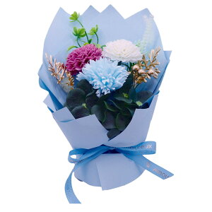 �y�\�[�v�t�����[�z�A���[���E�f�E�t���[��/�������[���u�[�P �u���[/AM26MMB�y07�z �v���U�[�u�h�t�����[ �t���O�����X�\�[�v�t�����[ �\�[�v�t�����[�����i�M�t�g �v���[���g �t �� ������