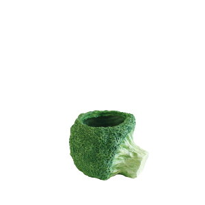SOW/�u���b�R���[�|�b�g M�T�C�Y/BRGD1003M�y07�z �K�[�f�j���O�E���|�p�i �A�ؔ��E�t�����[�|�b�g ���W���� �� �O�b�Y ���� �ƒ�؉� �ϗt�A�� ������� ���킢�� ���ǂ��̓� �C�[�X�^�[ �N���X