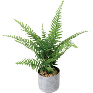�y�l�H�ϗt�A���zYDM/50cm�V�_�[�|�b�g �O���[��/GLA-1612GR�y01�z ���� �t�� �t�F�C�N�O���[�� �l�H�ϗt�A�� �l�H���� �����`50cm������� �C���e���A �X�� �I�t�B�X ���� �f�B�X�v���C