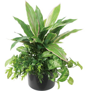 �y�l�H�ϗt�A���zYDM/�h���Z�i�~�b�N�X�O���[���|�b�g �O���[��/GLA-1635GR�y01�z ���� �t�� �t�F�C�N�O���[�� �l�H�ϗt�A�� �l�H���� ���|�b�g������� �C���e���A �X�� �I�t�B�X ���� �f�B