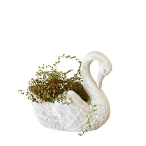 SOW/�X�����|�b�g S�T�C�Y/SWAN001S�y07�z �K�[�f�j���O�E���|�p�i �A�ؔ��E�t�����[�|�b�g �O���X�t�@�C�o�[�� �� �O�b�Y ���� �ƒ�؉� �ϗt�A�� ������� ���킢�� �C�[�X�^�[ �n���E�B��
