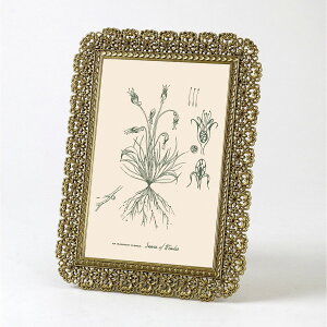 SOW/LUXE ���N�g�t�H�g�t���[�� �t�����[/DRDS2373SW�y07�z �X�܃f�B�X�v���C�E�X������ �X�܃C���e���A�E�G�� �t�H�g�t���[��(�ʐ^����)�C���e���A�G�� ����t�� �������