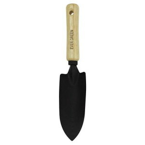 EVER GREEN/�ؕ��ڐA�R�e ���F 5.5×85.5���H�L9cm�y01�z �K�[�f�j���O�E���|�p�i �c�[��(����) �X�R�b�v�E�V���x�� �� �O�b�Y ���� �_��� ������� ���킢��
