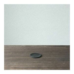 ventes/�yMaceta�zPlasticPlate 70�y01�z[10��] �K�[�f�j���O�E���|�p�i �A�ؔ��E�t�����[�|�b�g �v���X�`�b�N�� �� �O�b�Y ���� �ƒ�؉� �ϗt�A�� ������� ���킢�� ��̓�
