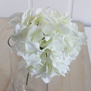 yԁzMAGIQ/AXnChWA@N[zCg/FM025048-001y01z ԁiA[eBtBVt[j  ԍށusv izԁj