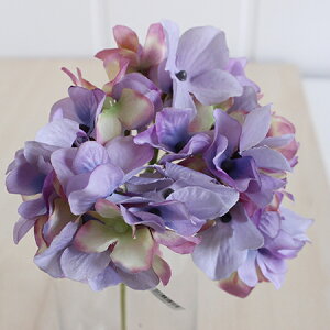 yԁzMAGIQ/AXnChWA@x_[/FM025048-011y01z ԁiA[eBtBVt[j  ԍށusv izԁj