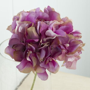 yԁzMAGIQ/AXnChWA@I[Lbh/FM025048-012y01z ԁiA[eBtBVt[j  ԍށusv izԁj