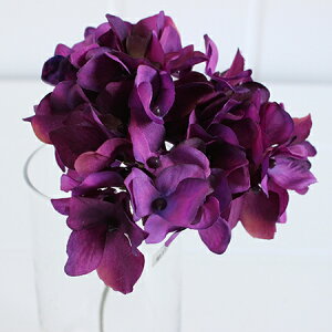 yԁzMAGIQ/AXnChWA@p[v/FM025048-017y01z ԁiA[eBtBVt[j  ԍށusv izԁj