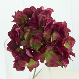 yԁzMAGIQ/AXnChWA@r[eB/FM025048-053y01z ԁiA[eBtBVt[j  ԍށusv izԁj