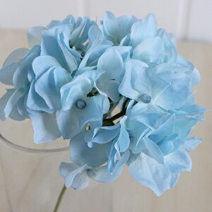 yԁzMAGIQ/AXnChWA@Cgu[/FM025048-105y01z ԁiA[eBtBVt[j  ԍށusv izԁj