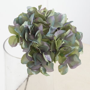 yԁzMAGIQ/A[xgnChWA@ANAO[/FM025049-010y01z ԁiA[eBtBVt[j  ԍށusv izԁj