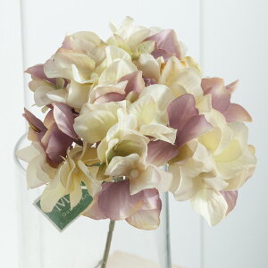 yԁzMAGIQ/A[xgnChWA@N[[u/FM025049-048y01z ԁiA[eBtBVt[j  ԍށusv izԁj