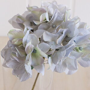 yԁzMAGIQ/AXnChWA@115@GY^BL 151/FM025048-115y01z ԁiA[eBtBVt[j  ԍށusv izԁj