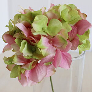 yԁzMAGIQ/AXnChWA@152@PK^GR 151/FM025048-152y01z ԁiA[eBtBVt[j  ԍށusv izԁj