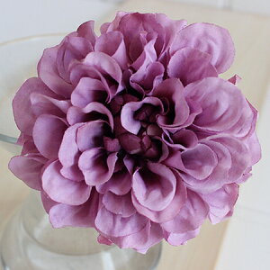 yԁzAXJ/_AsbN@x_[/A-31451-6y01z ԁiA[eBtBVt[j  ԍށusv _A