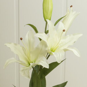 �y���ԁzYDM/�J�T�u�����J×2/FA6215-W�y01�z ���ԁi�A�[�e�B�t�B�V�����t�����[�j �J�T�u�����J �t�F�C�N�t�����[ �V���N�t�����[ �C���e���A �ԍ� ���� �f�B�X�v���C ���� �A�����W�����g �u