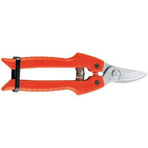 AXR[|[V/K[fjO^Cv/SE-30y01z K[fjOE|pi c[() |͂