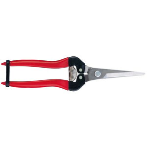 AXR[|[V/EGNXgO^CvXeXiuX^[pbNj/300LL-DX-BPy01z K[fjOE|pi c[() |͂