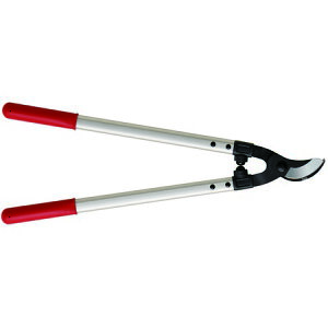 AXR[|[V/}bp[MTCY/LPB-30My01z K[fjOE|pi c[() |͂