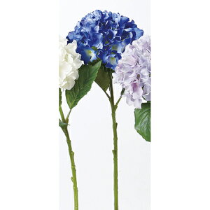 yԁzAXJ/A-32617 nChWA 009@u|/A-32617-009y01z ԁiA[eBtBVt[j  ԍށusv izԁj