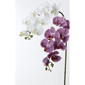 �y���ԁz�A�X�J/A-32409 �R�`���E����X7�@�ڂ�X3 ��001�@�z���C�g/A-32409-001�y01�z ���ԁi�A�[�e�B�t�B�V�����t�����[�j �R�`���E�����i�Ӓ����j �t�F�C�N�t�����[ �V���N�t�����[ �C���e���A 