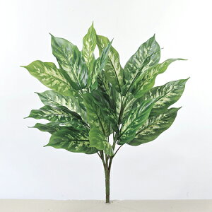 yԁzAXJ/A-41895 fBtFoLAubV 051V@EJ@QCgO|/A-41895-051Vy01z ԁiA[eBtBVt[j ԗt fBtFoLA