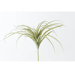 yԁzAXJ/A-41925 eBhVA 051F@tXgO|/A-41925-051Fy01z ԁiA[eBtBVt[j ԗtAtFCNO[ A