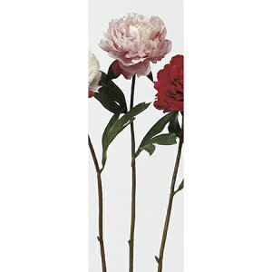 yԁzAXJ/sIj[@sN/A-32373-3y01z ԁiA[eBtBVt[j  ԍށusv VNNi䉖jE{^iOjEsIj[