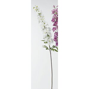 yԁzAXJ/ftBjE@zCg/A-32385-1y01z ԁiA[eBtBVt[j  ԍށusv ftBj[