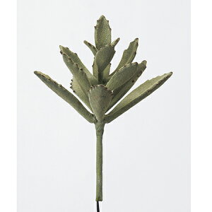 yԁzAXJ/TbJe@tXgO[uE/A-41740-52Fy01z ԁiA[eBtBVt[j ԗtAtFCNO[ A