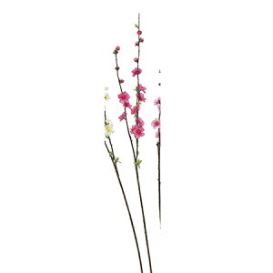 yԁzAXJ/Xv[@zbgsN/A-03850-23Hy01z ԁiA[eBtBVt[j  ԍށu܍sv ij