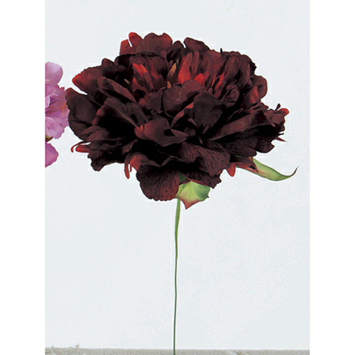 楽天市場 即日 造花 アスカ ピオニーピック ワイン A 15a造花 アーティフィシャルフラワー 造花 花材 さ行 シャクヤク 芍薬 ボタン 牡丹 ピオニー 手作り 材料 花材通販はなどんやアソシエ 楽天市場 即日 造花 アスカ ピオニーピック ワイン A 15a造花 アーティフィシャルフラワー 造花 花材 さ行 シャクヤク 芍薬 ボタン 牡丹 ピオニー 手作り 材料 花材通販はなどんやアソシエ