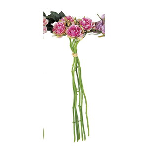 yԁzAXJ/[Yo`×5(16{) sNO[/A-31865-3Gy01z ԁiA[eBtBVt[j  ԍށu͍sv o