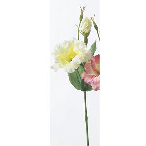 �y���ԁz�A�X�J/�g���R�M�L���E×1 �ڂ�×2�@�N���[���z���C�g/A-31267-11�y01�z ���ԁi�A�[�e�B�t�B�V�����t�����[�j ���� �ԍށu���s�v �g���R�L�L���E