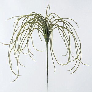 yԁzAXJ/nMOOX@O[/A-41120-51Ay01z ԁiA[eBtBVt[j ԗtAtFCNO[ A